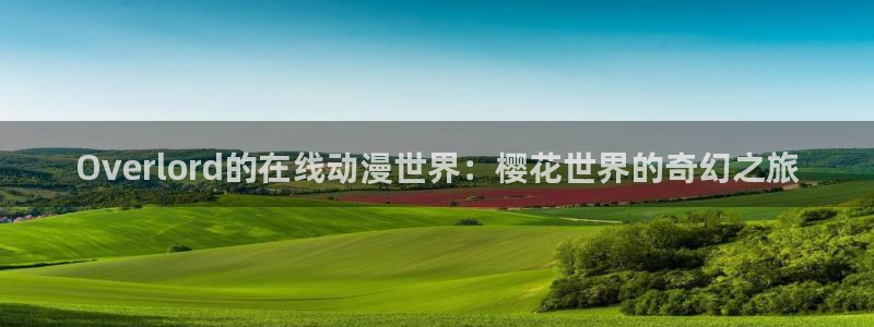 星空影视网官网