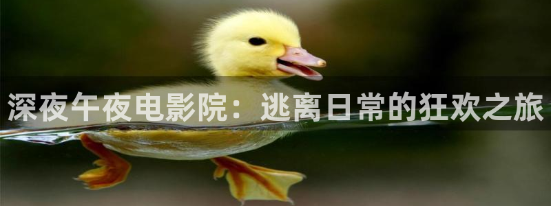 星空视频电影在线看免费