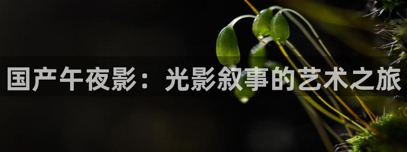 樱花视频在线播放免费观看高清