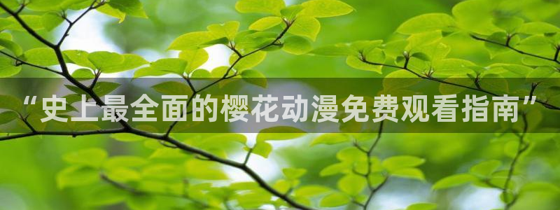 樱花视频大全在线观看