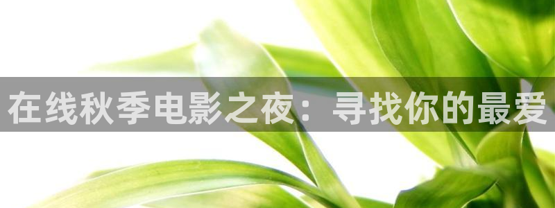 星空影视 下载