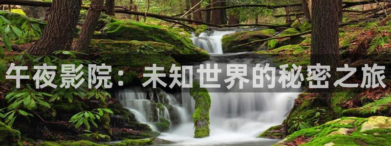 樱花视频电视版