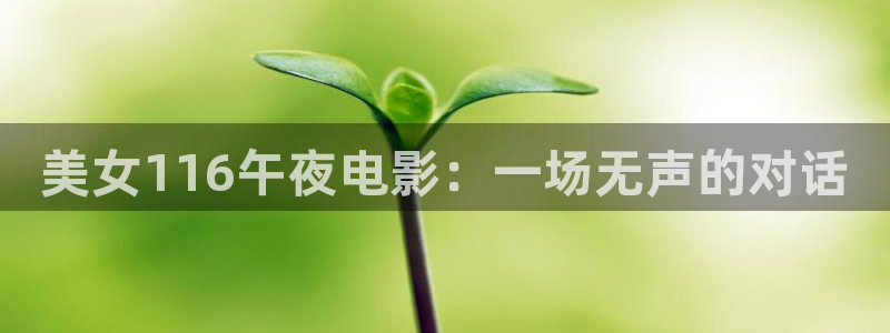 星空传媒影视在线观看
