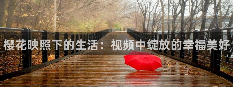樱花视频高清电影好看的电视剧繁花