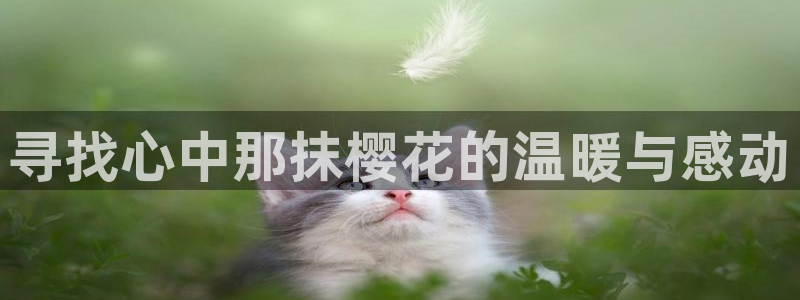 樱花视频高清版免费观看电视剧