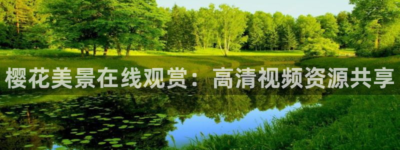 人世间樱花视频