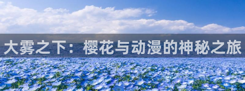 星空无限电视剧免费观看策驰影院