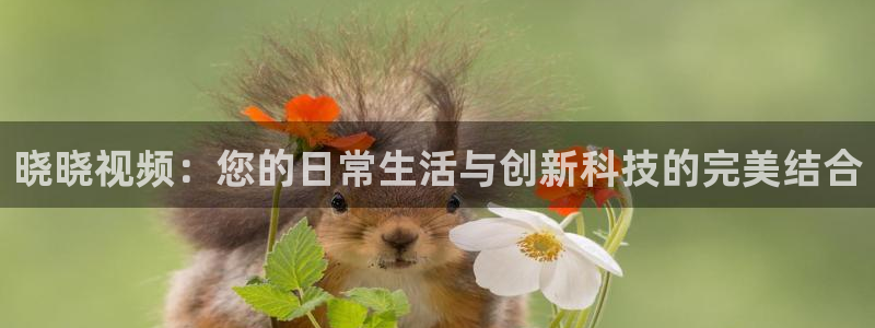 星空视频在线观看完整版