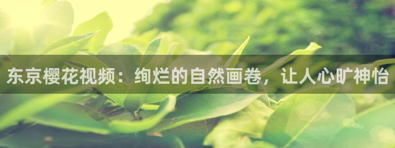 星空影视安全吗