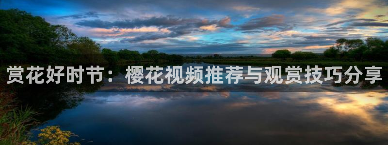 樱花视频免费观看全集