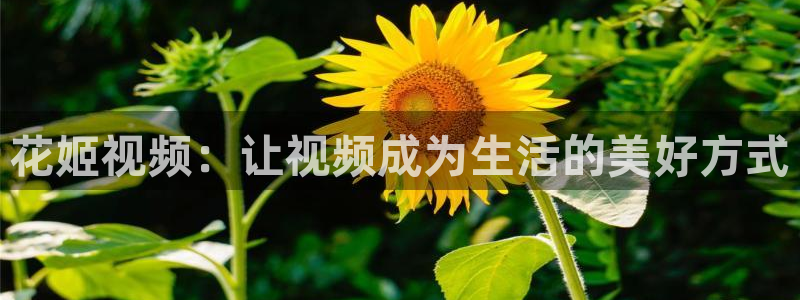 星空影视在线观看高清免费
