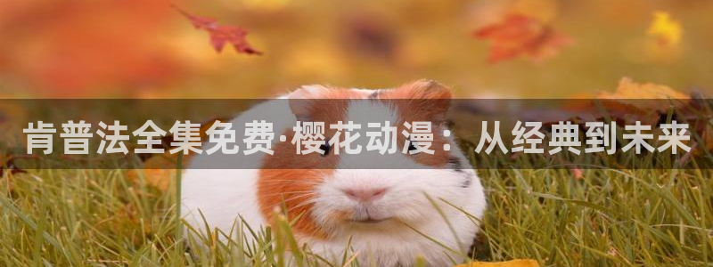 樱花视频高清电影电视剧免费观看