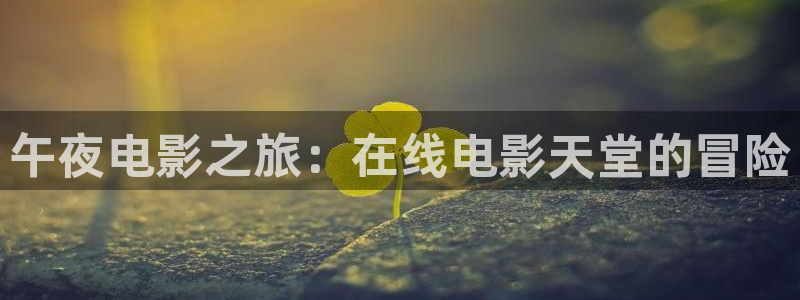 星空电影城
